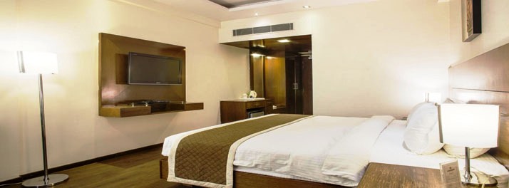 1638/Hotel Shyam Paradise - Jaipur 07.jpg